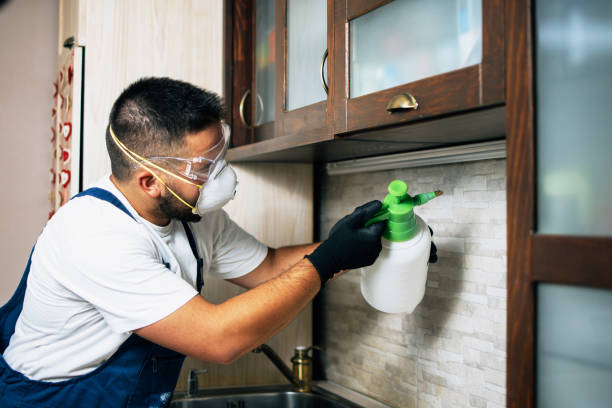 Best Best Pest Control Companies  in Odem, TX