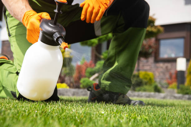 Best Affordable Pest Control Services  in Odem, TX